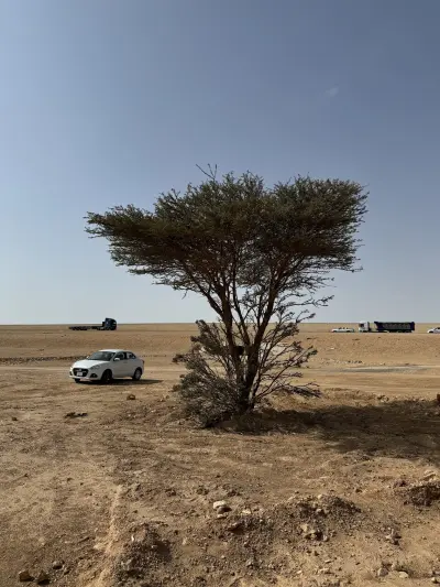 صورة ٤، مخيم الغربي