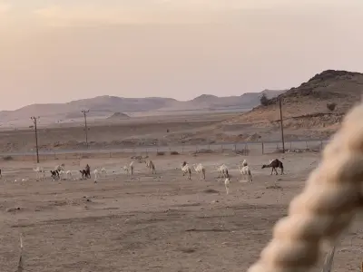 صورة ٣، استراحة الشيخ سرحان بن معيلم