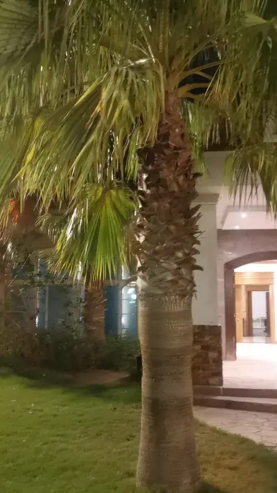 صورة ٣، منتجع ميراكي