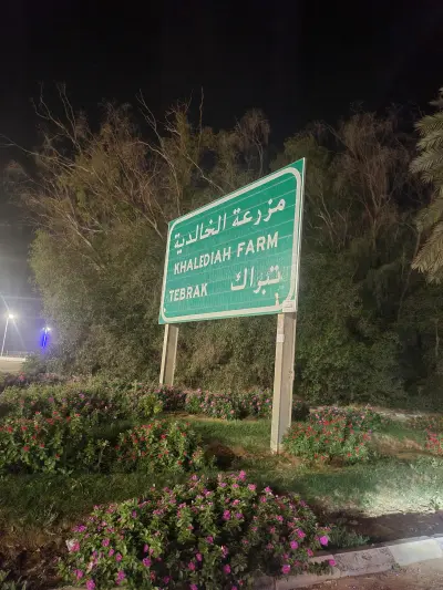 صورة ٤، مزارع الخالدية
