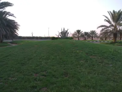 صورة ٣، تبوك الزراعية تادكو