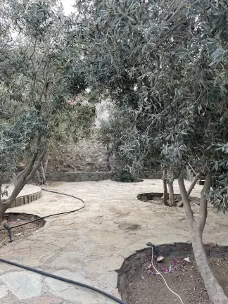 صورة ٣، مزرعة الزيتونة للسياحة الزراعية والريفية
