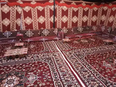 صورة ٤، مخيم ستار لايت
