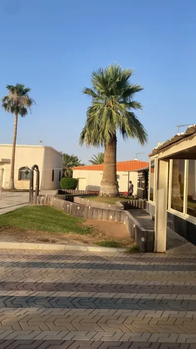 صورة ٥، استراحة الأضواء