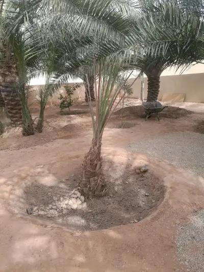 صورة ٥، استراحة جبيلة
