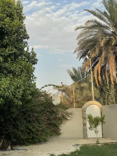 صورة ٢، شاليهات البستان بنعجان