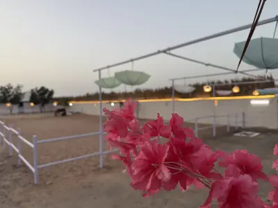استراحة العلا