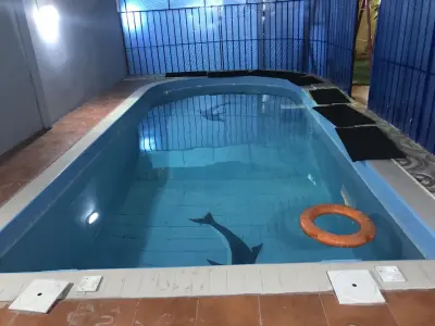 استراحه الجواد