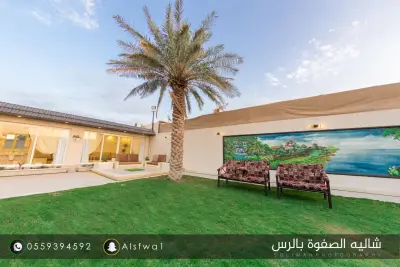 صورة ٢، شالية الصفوة