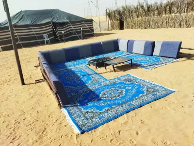 صورة ٤، مخيم الزويليات