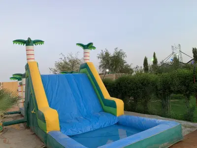 صورة ٣، استراحة واحة المورينجا