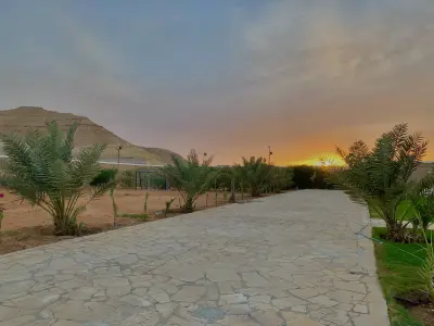 صورة ٣، شالية المودة