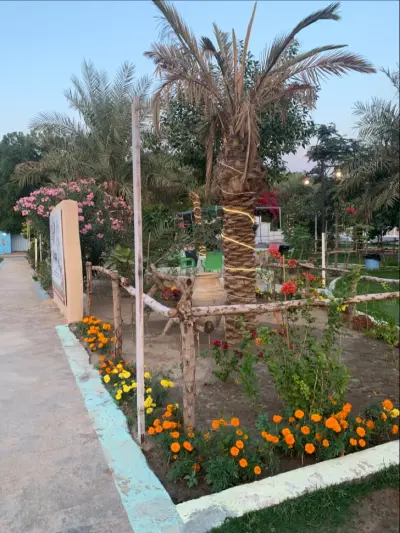 مزرعة جهينة جهينة بارك