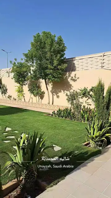 صورة ٣، شاليه المحمدية