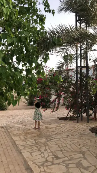 صورة ٢، استراحة السويد
