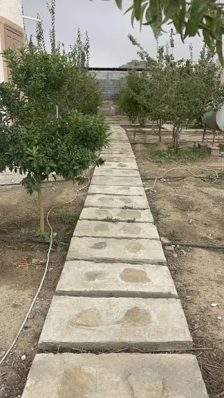 صورة ٦، منتجع الكوخ العلمي الاجتماعي