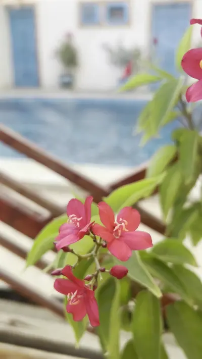 صورة ٤، الميعاد