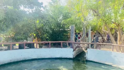 استراحة جنة الطير