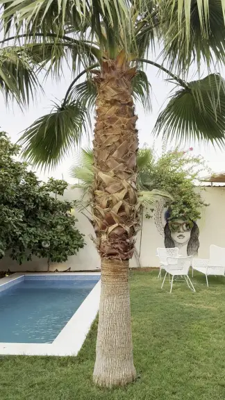 صورة ٣، شاليه باسكال