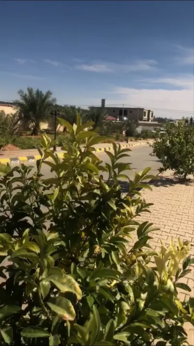صورة ٣، مزرعة ريم الجلدة