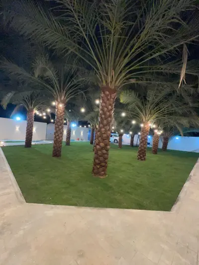 صورة ٤، استراحة الرمال
