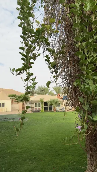 استراحة للاجار اليومي
