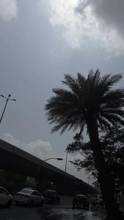 صورة ٣، مزرعة عباس الغامدي