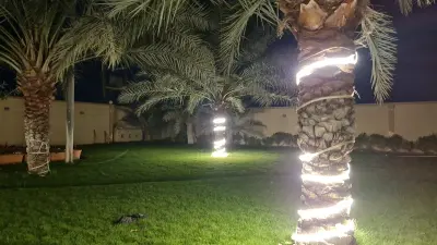 صورة ٣، مزرعة محمد موسى المحمدعلي