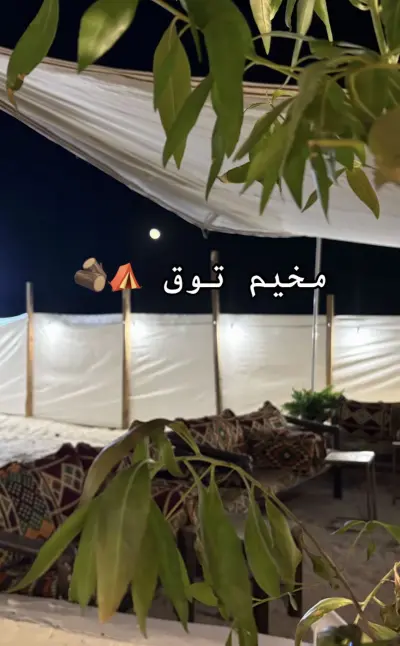 مخيم توق