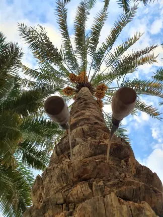 صورة ٥، استراحة جلنار