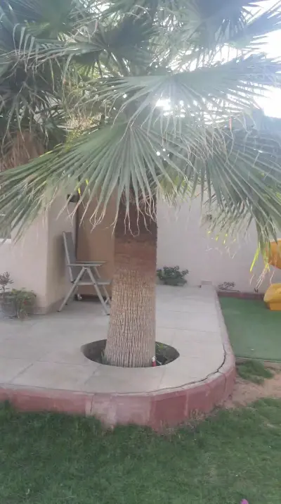 صورة ٣، شاليه لاڤانيا