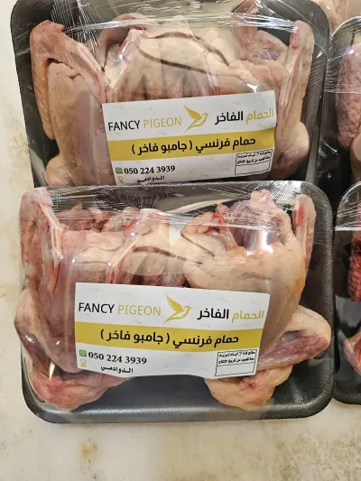 صورة ٢، الحمام الفاخر