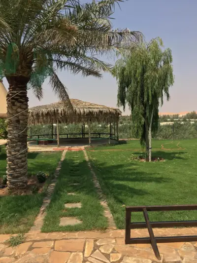صورة ٢، منتجع قاردن فيو