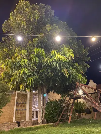 صورة ٣، استراحة و شاليه جلنار