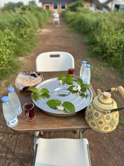 صورة ٢، مزرعة الفل الريفية