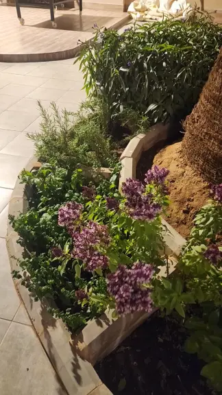 صورة ٣، شاليه السلام