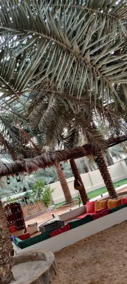 صورة ٢، منتجع كيافة