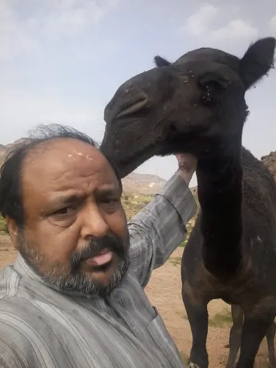صورة ٤، استراحة ابوخالد سعيد بن سالم