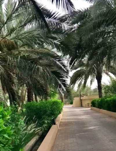 صورة ٣، مزرعة سعد بن حسن الجبهان رحمه الله