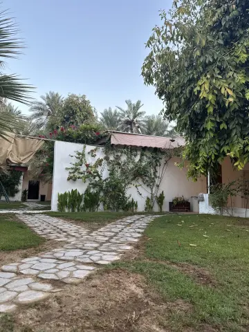 صورة ٣، المزرعة العيد