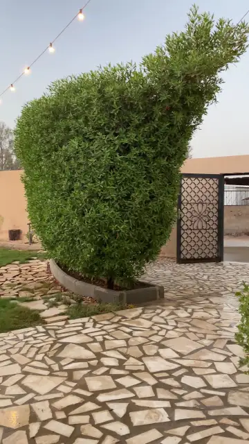 صورة ٢، استراحه ليالي الوصل