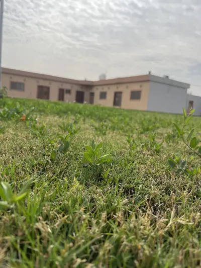 صورة ٣، استراحة روابي العفجه