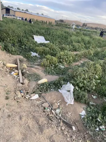 صورة ٤، كشك مزرعة الصالح