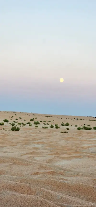صورة ٣، مخيمات طريق المطار