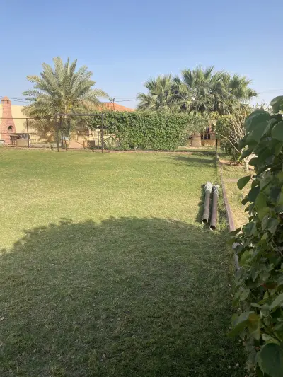 صورة ٣، استراحة الربيع بالعفجة