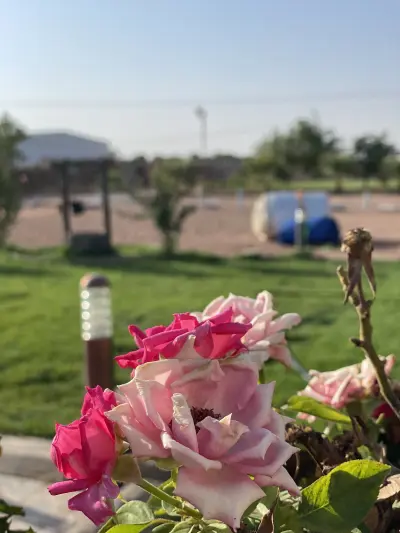 صورة ٢، استراحه ومنتجع الناصر