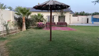 صورة ٣، استراحة النخيل
