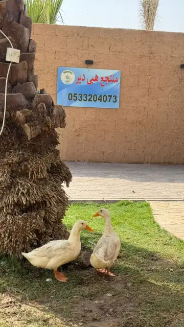 صورة ٣، منتجع ومخيم هابى دير