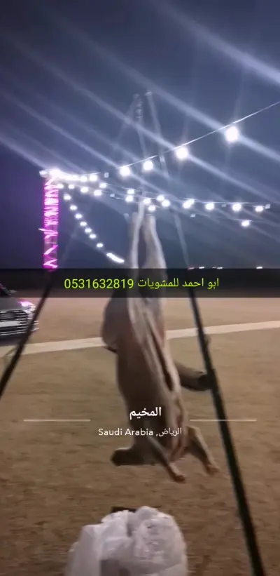 صورة ٤، مخيم ليالي العاذريه 1
