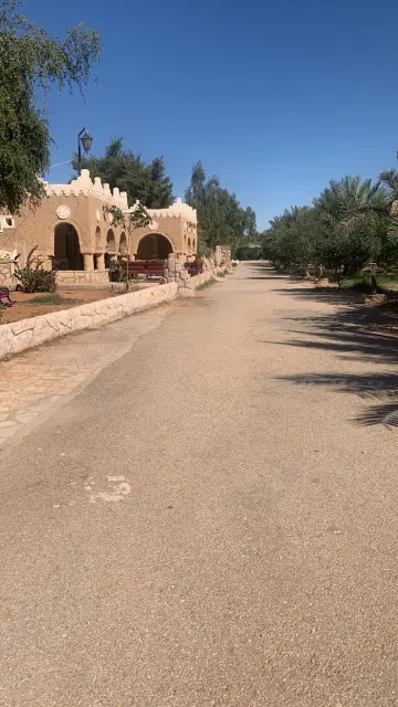 صورة ٢، بساتين شيخة